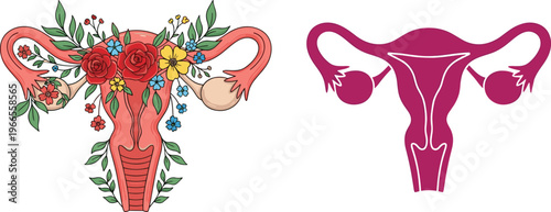 Uterus and Female Reproductive System Anatomy Vector Set with Floral Botanical Decorations for Women's Health, Wellness, Gynecology, and Fertility Awareness Designs