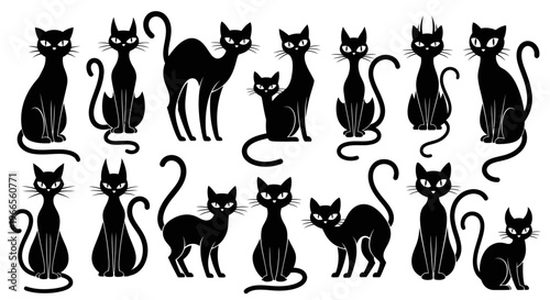 Black cats sitting and standing in various poses on white background