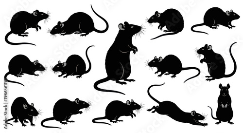 A group of rats are gathered in a messy city environment.