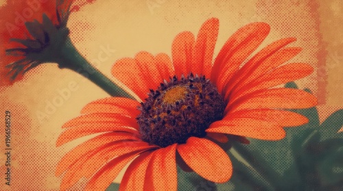 Orange daisy with textured petals flower center