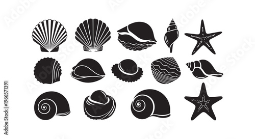 Collection of various black shells and starfish on white background