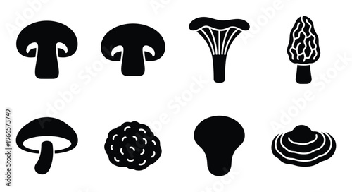 Mushroom set vector icons isolated on transparent grid background flat style food nature plants