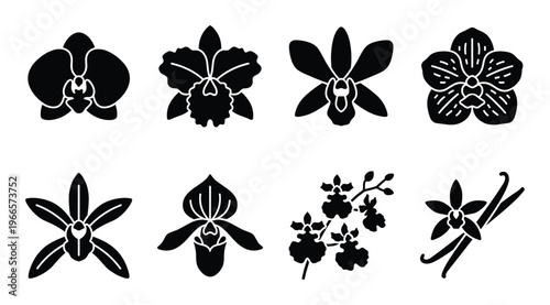 Orchid flower species silhouette icons collection featuring various tropical bloom shapes and petals