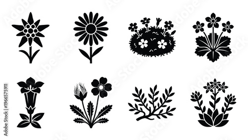 Set of eight black silhouettes of alpine and mountain flowers including edelweiss daisy
