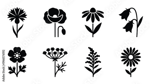 Set of stylized black flower icons isolated on transparent background, simple elegant floral vector elements