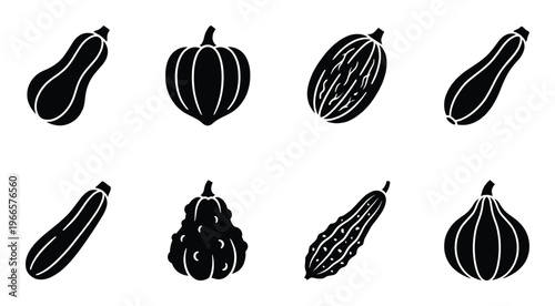 Squash gourds and pumpkins assorted varieties isolated on white background harvest food
