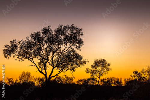 Φωτογραφία Night falls over the bush in the outback near Tennant Creek, Northern Territory,