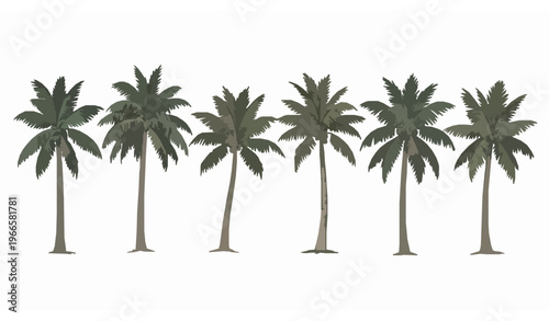 Vintage tropical palm tree vector set with hand drawn coconut trees in retro botanical miami illustration style