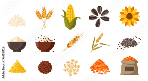 Variety of agricultural grains and seeds for healthy eating and nutrition