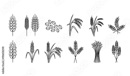 Wheat grain outline icon set with barley rye rice stalks and agriculture cereal symbols line vector