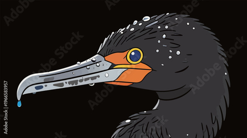 Bird with wet feathers looks towards the viewer with a drop of water hanging from its beak in a dark setting