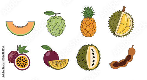 Various tropical fruits isolated on white background for design elements