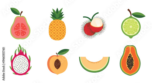 Vibrant assortment of exotic fruits isolated vector illustrations