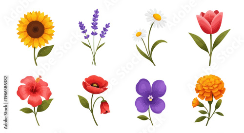 Vibrant floral collection various flowers on white background