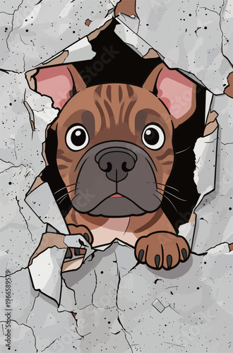 Dog looks through a hole in the wall and shows its curious eyes and face in a playful way during a sunny afternoon