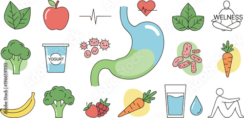 Stomach health and gut wellness vector illustration featuring probiotics nutrition hydration and healthy lifestyle elements in colorful flat design set