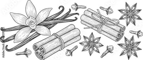 Vintage engraved spice illustration set with vanilla pods cinnamon sticks cloves and star anise detailed botanical sketch isolated on white background