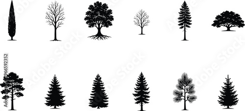 Large set of diverse black tree silhouettes including pine spruce oak and cypress isolated on white background for nature landscape design and vector projects