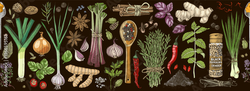 Herbs and spices hand drawn collection