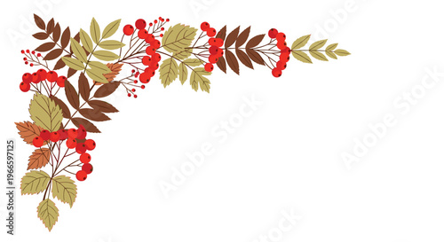 Decorative corner frame composed of autumn rowan berry branches with red fruit and multicolored brown and green leaves on white.