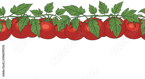 Decorative border featuring a row of ripe red tomatoes growing on a green leafy vine against a clean white background.