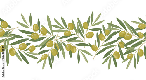 Elegant horizontal border made of green olive branches with leaves and ripe green olives for food or natural branding.