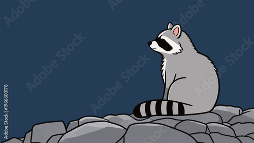 Raccoon sits on rocks looking out at the night sky with a blue background and scattered stars