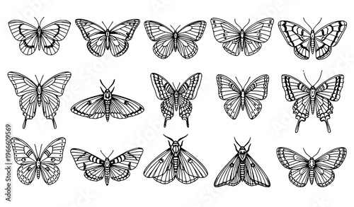 Butterfly and moth sketch set hand drawn black outline insects vector illustration