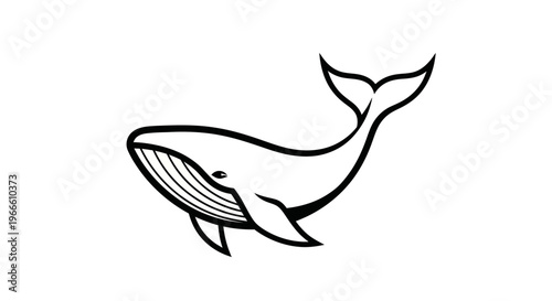 Photos Black and white illustration of a whale aquatic mammal in vector style