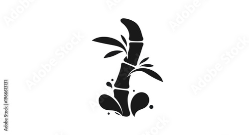 Black bamboo stalk with leaves and water splashes on white background
