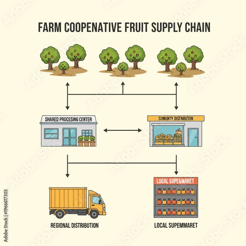 Diagram illustrating the farm cooperative fruit supply chain, from orchard to regional distribution and local supermarkets.