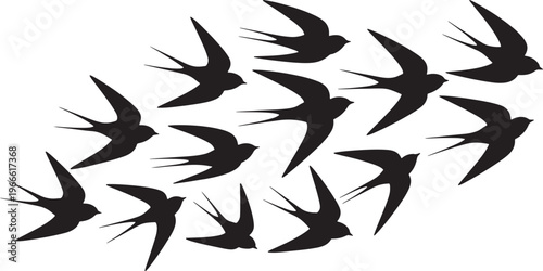 Silhouette flock of swallows in flight on white bird
