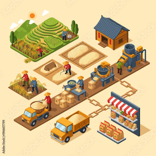 Isometric illustration depicting the entire process of rice cultivation, harvesting, processing, and distribution to a retail store.