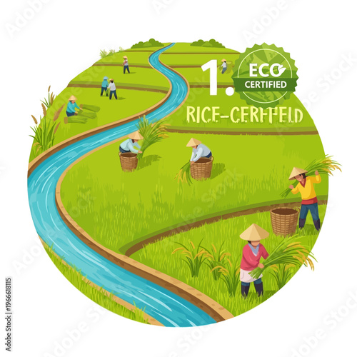 Eco-certified rice field with farmers harvesting crops along a winding river, showcasing sustainable agriculture practices.