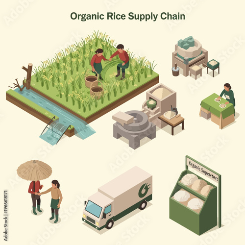 Isometric illustration depicting the organic rice supply chain from cultivation to consumption, highlighting farming, processing, and distribution stages.