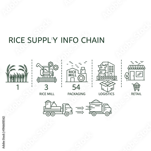 Visual representation of the rice supply chain, illustrating key stages from cultivation to retail with icons and brief descriptions.