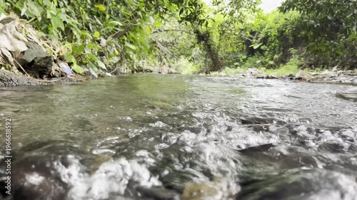 Low‑angle shot of a gentle creek flowing through lush tropical foliage, landscape video suited for relaxing nature backgrounds, travel content, and environmental stories.