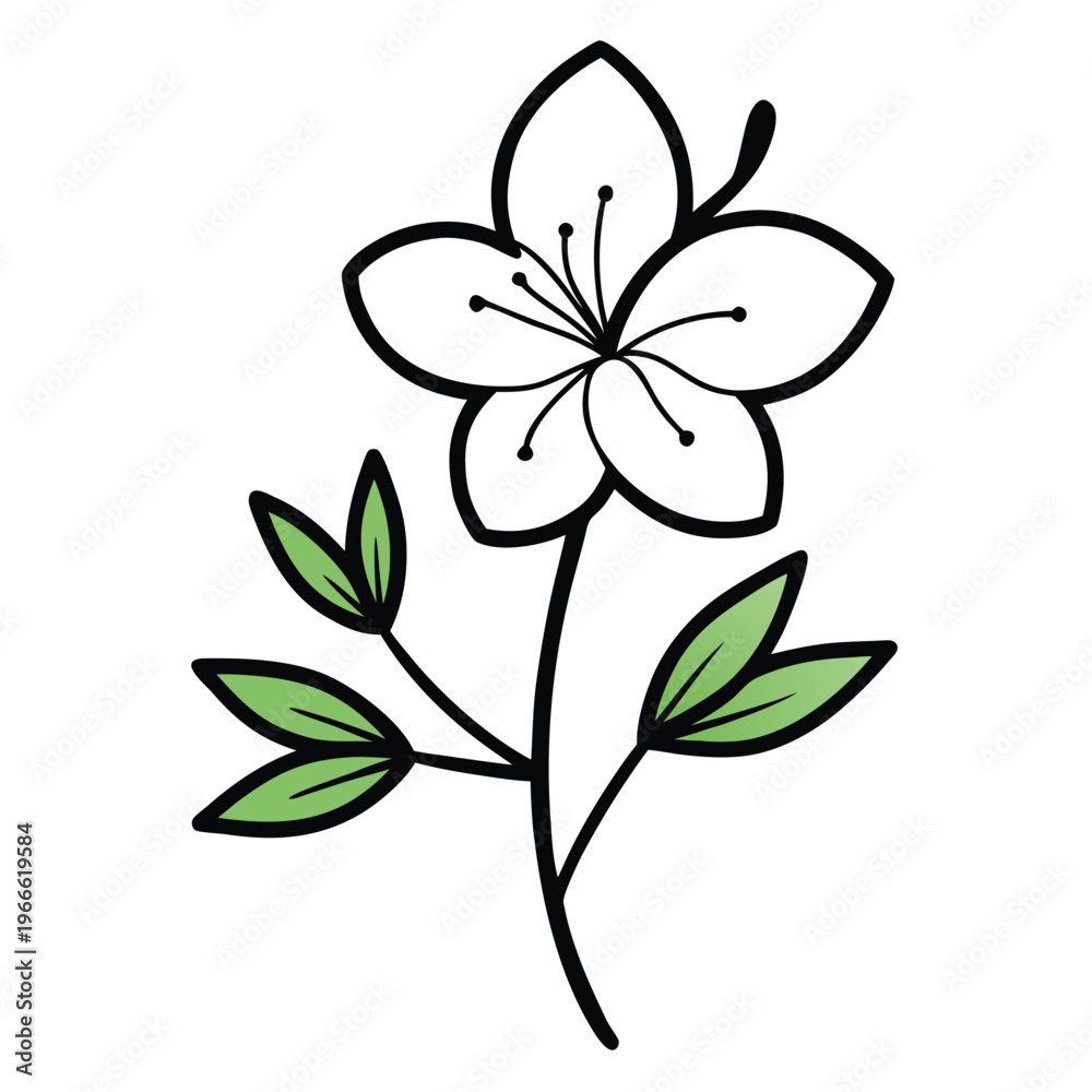 Obraz premium azalea hybrid flower line art with branch on white background