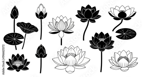 Collection of beautiful lotus flowers and buds in various stages of bloom, presented in a clean vector art style for versatile design applications