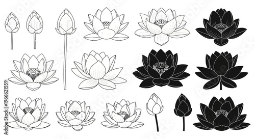 Set of lotus flowers and buds in various styles, including blooming and closed, in both outline and silhouette formats, perfect for artistic and decorative purposes