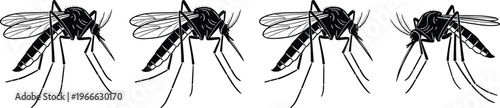 Mosquito silhouette vector set with detailed wings and legs, black insect illustration collection showing different angles, pest control graphic design elements