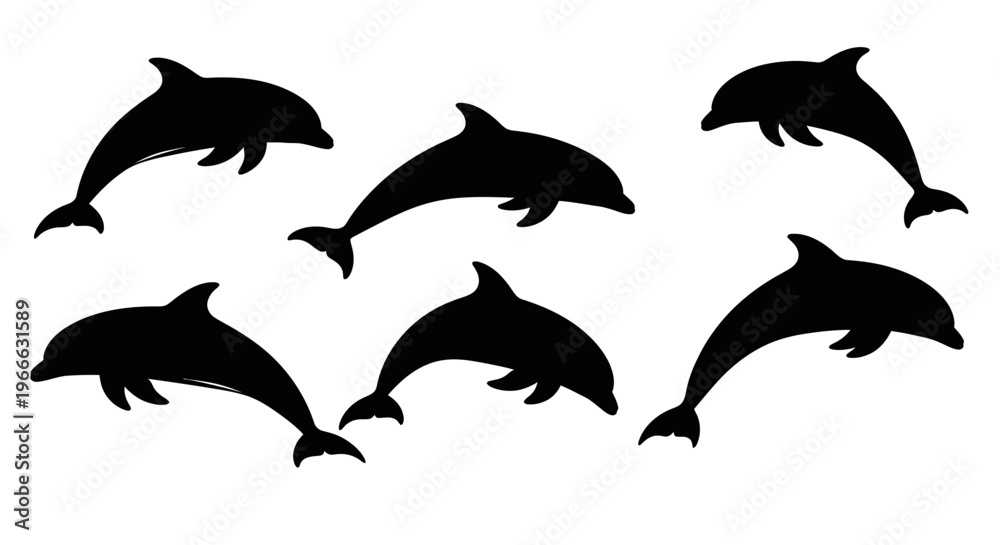 Fototapeta Several dolphins leaping and swimming depicted as a striking silhouette
