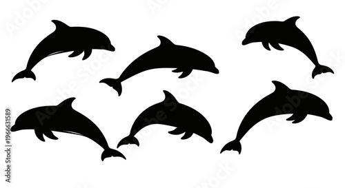Several dolphins leaping and swimming depicted as a striking silhouette