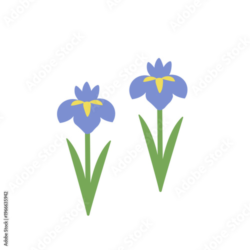 こどもの日の素材　菖蒲のイラスト　子供の日　5月素材　シンプル