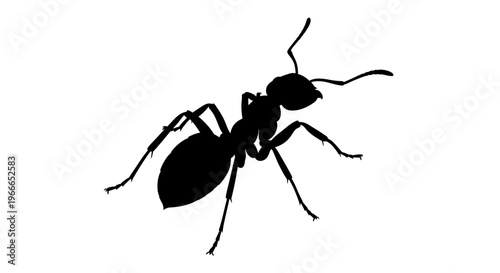 A striking black silhouette of an ant displaying detailed anatomy
