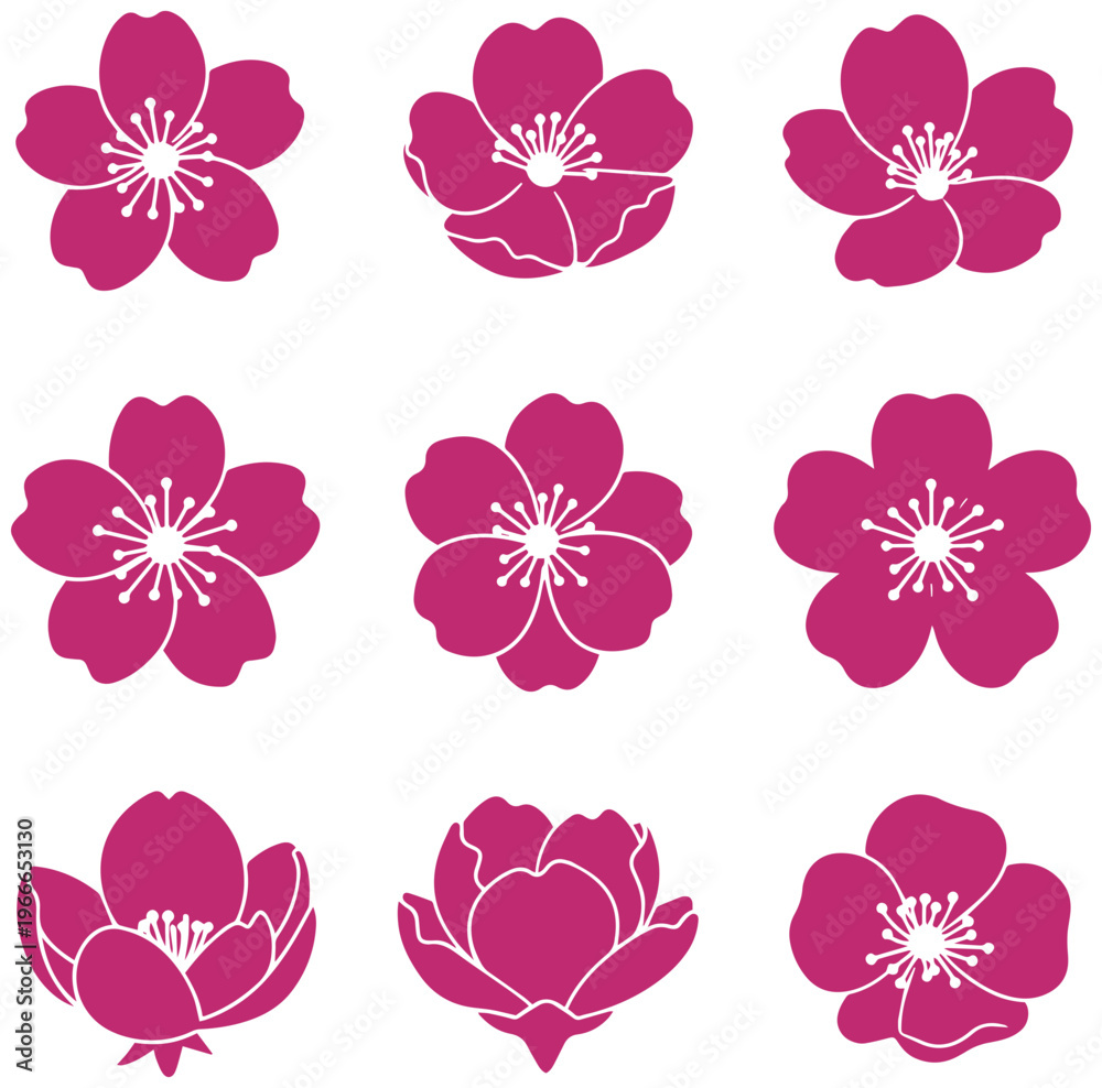 Fototapeta premium Vibrant pink cherry blossoms and lotus flowers in elegant floral arrangement