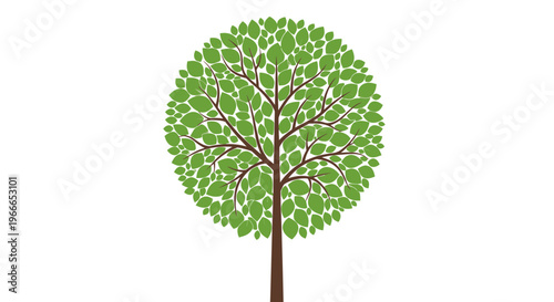 Green Tree Illustration.