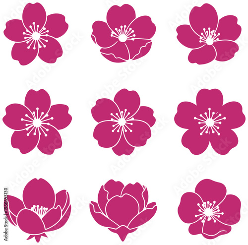 Vibrant pink cherry blossoms and lotus flowers in elegant floral arrangement