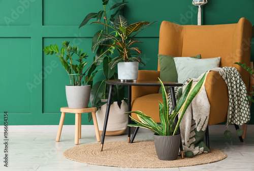 Different houseplants with ...
