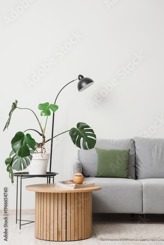 Grey sofa, table and monste...